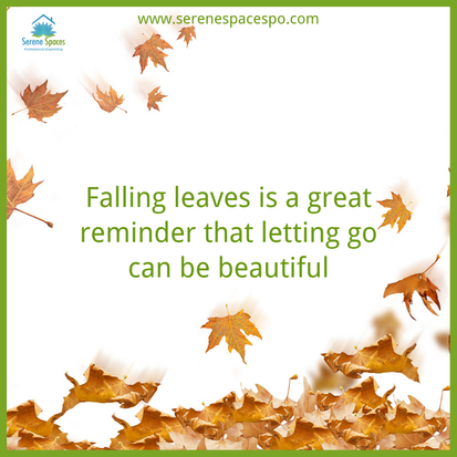 Letting Go Can Be Beautiful!